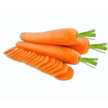 Frozen Carrot (27)-9005030-9525.webp